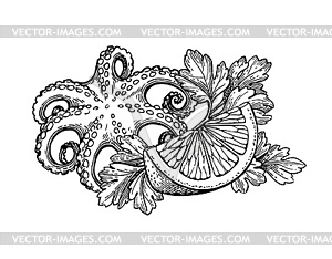 Octopus ink sketch - vector clip art