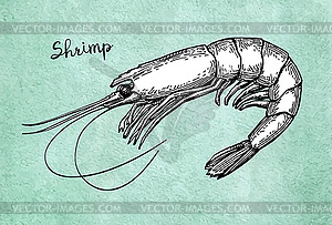 Shrimp ink sketch on old paper - royalty-free vector clipart