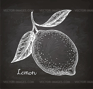 Lemon sketch on chalkboard - vector clipart