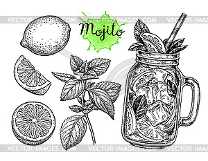 Mojito drink and ingredients - vector clipart