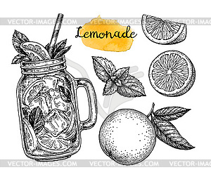 Lemonade and ingredients - stock vector clipart