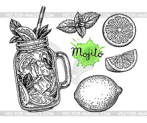 Mojito drink and ingredients - vector image