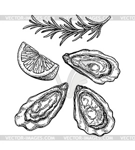 oyster clipart black and white