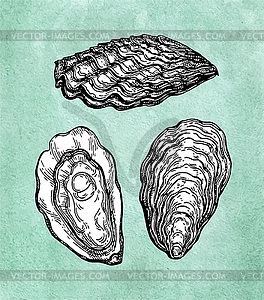 Oysters ink sketch - stock vector clipart