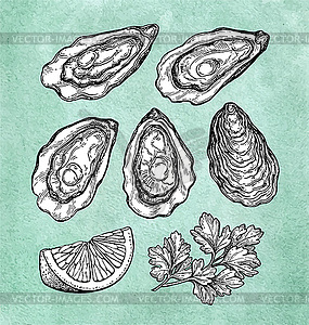 Oysters with lemon and parsley - vector clipart