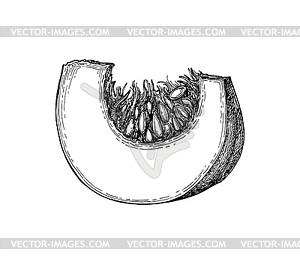 Чернильный эскиз тыквы - стоковое векторное изображение