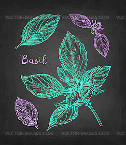 Chalk sketch of basil - vector clipart