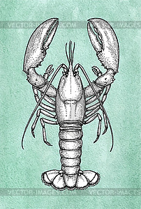 Lobster ink sketch on old paper - vector clip art