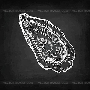 Oyster chalk sketch - vector image