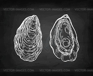 Oysters chalk sketch - vector image