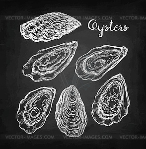 Oysters chalk sketch - vector clipart