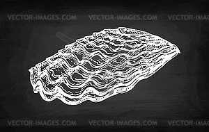 Oyster chalk sketch - vector EPS clipart