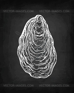 Oyster chalk sketch - vector clipart