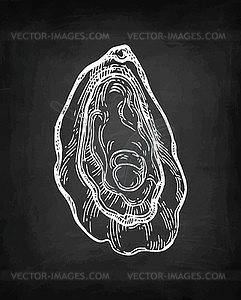 Oyster chalk sketch - vector image