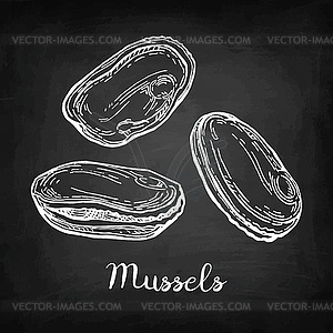 Chalk sketch of mussels - vector clip art