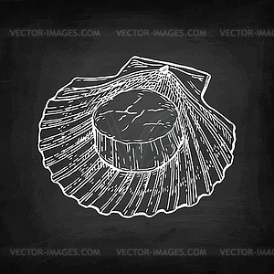 Chalk sketch of scallop - vector clipart