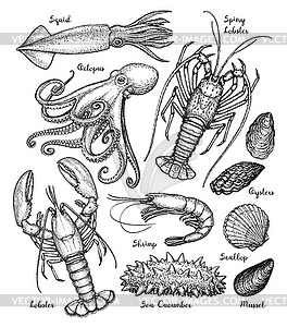 Sea animals big set - vector clipart