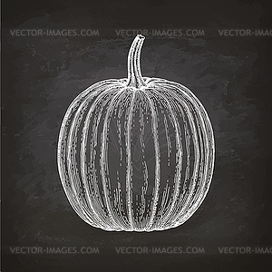 Chalk sketch of pumpkin - vector clip art