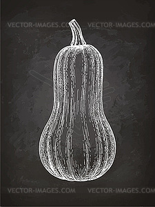 Chalk sketch of butternut squash - vector image