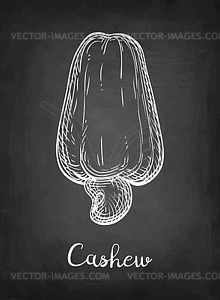 Chalk sketch of cashew - vector image