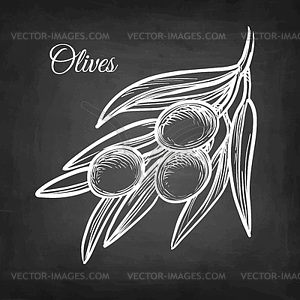 Chalk sketch of olive branch - white & black vector clipart