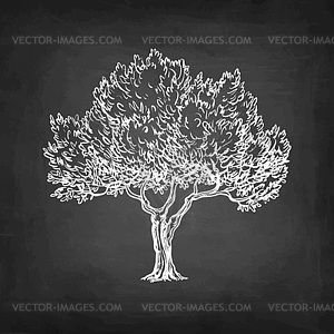 sketched tree vector clipart