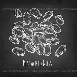 Chalk sketch of pistachio nuts - vector image