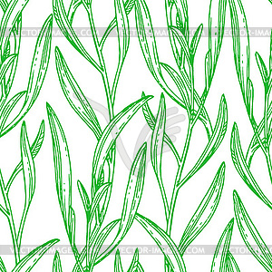 Seamless pattern with tarragon - vector clip art