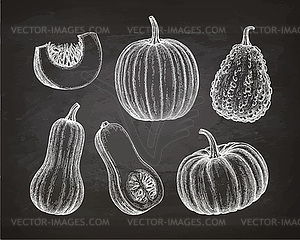 Set of pumpkins on chalkboard - royalty-free vector image