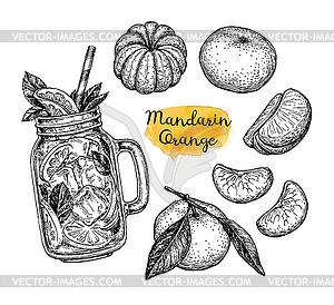 Ink sketch of tangerines - vector EPS clipart