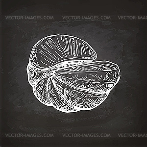 Chalk sketch of mandarin orange - vector clip art