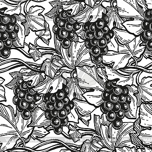 Seamless pattern with grape vine - vector image