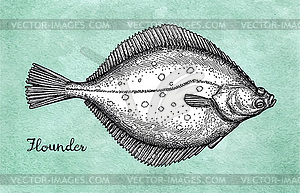 Flatfish. Ink sketch of flounder - vector image