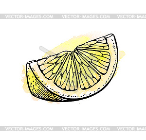 Sketch of lemon - vector image