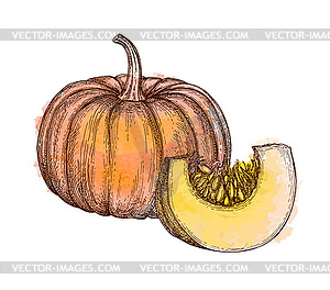 Ink sketch of pumpkin - vector clipart