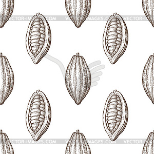 Seamless pattern with cocoa fruits - vector image