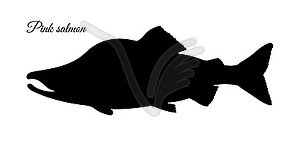 Silhouette of pink humpback salmon - vector clipart