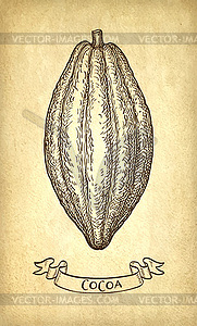 Чернильный набросок какао - векторная иллюстрация