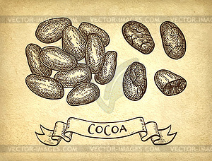 Ink sketch of cocoa - vector clip art