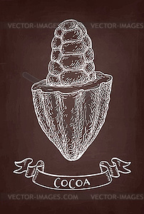 Chalk sketch of cocoa - vector clip art