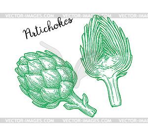 Ink sketch of artichokes - vector image