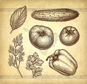 Vegetables set on old paper background - vector image