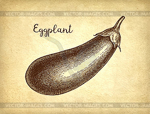 Ink sketch of eggplant - vector image