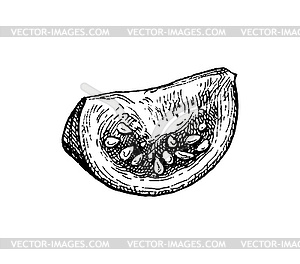 Ink sketch of tomato - vector clip art