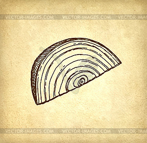 Ink sketch of onion - vector clipart