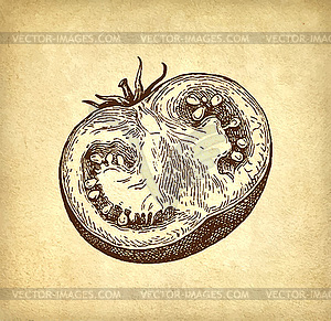 Ink sketch of tomatoes - vector image