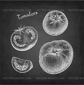 Chalk sketch of tomatoes - vector clipart