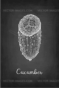 Chalk sketch of cucumber - vector clip art