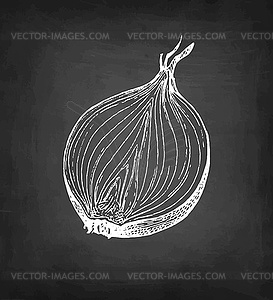 Chalk sketch of onion - vector clipart