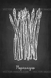 Chalk sketch of asparagus - vector clip art